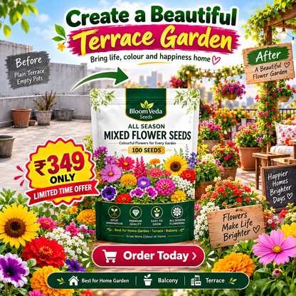 All Season Mixed Flower Seeds 100 Seeds – Best for Home Garden, Balcony & Terrace