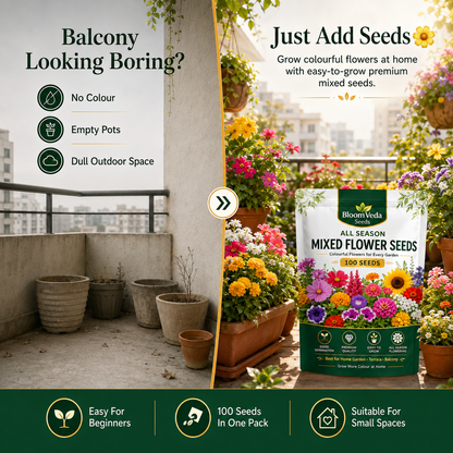 All Season Mixed Flower Seeds 100 Seeds – Best for Home Garden, Balcony & Terrace