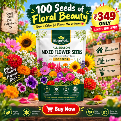 All Season Mixed Flower Seeds 100 Seeds – Best for Home Garden, Balcony & Terrace