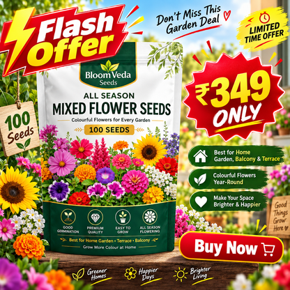 All Season Mixed Flower Seeds 100 Seeds – Best for Home Garden, Balcony & Terrace