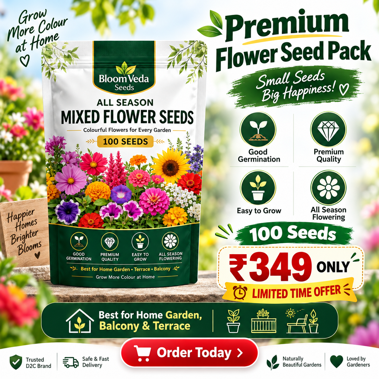 All Season Mixed Flower Seeds 100 Seeds – Best for Home Garden, Balcony & Terrace