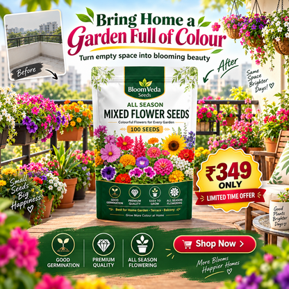 All Season Mixed Flower Seeds 100 Seeds – Best for Home Garden, Balcony & Terrace