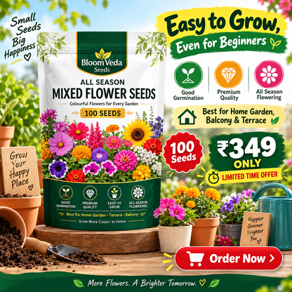 All Season Mixed Flower Seeds 100 Seeds – Best for Home Garden, Balcony & Terrace
