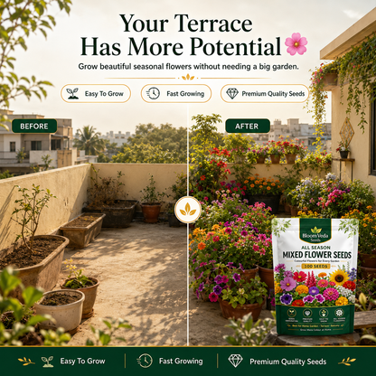 All Season Mixed Flower Seeds 100 Seeds – Best for Home Garden, Balcony & Terrace