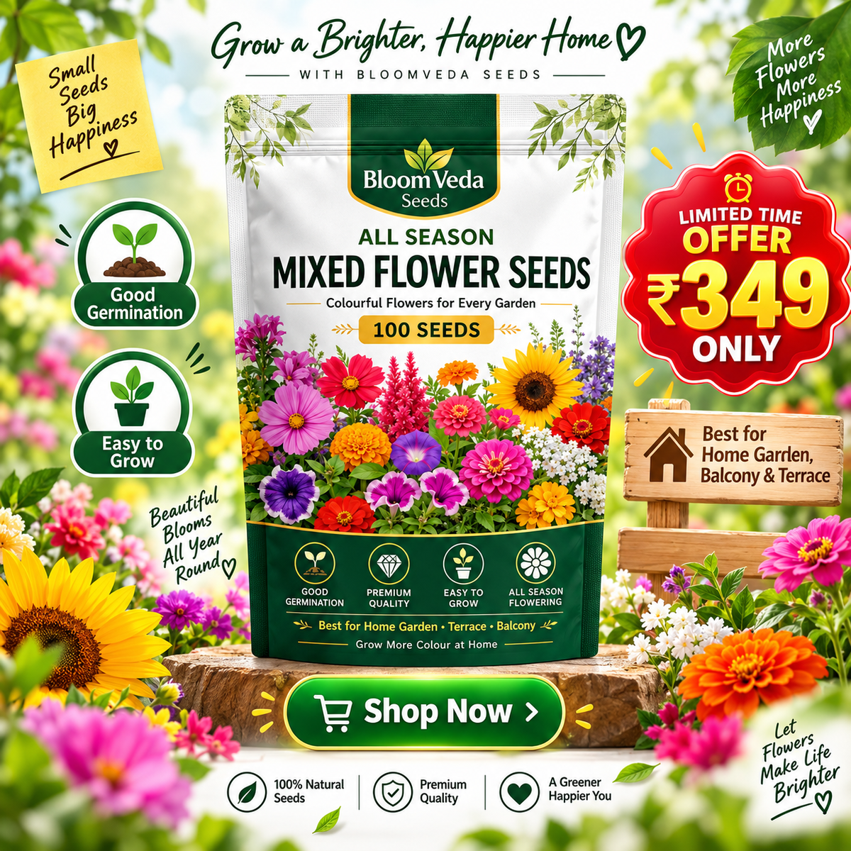 All Season Mixed Flower Seeds 100 Seeds – Best for Home Garden, Balcony & Terrace