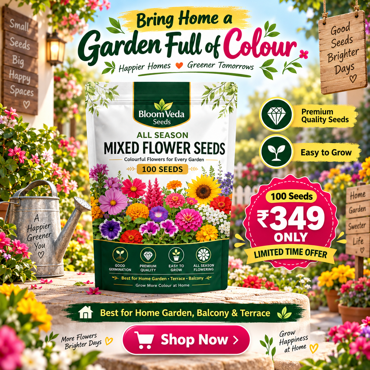All Season Mixed Flower Seeds 100 Seeds – Best for Home Garden, Balcony & Terrace
