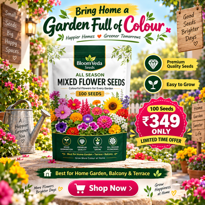 All Season Mixed Flower Seeds 100 Seeds – Best for Home Garden, Balcony & Terrace
