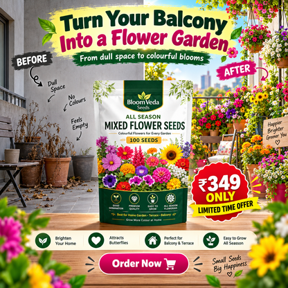 All Season Mixed Flower Seeds 100 Seeds – Best for Home Garden, Balcony & Terrace
