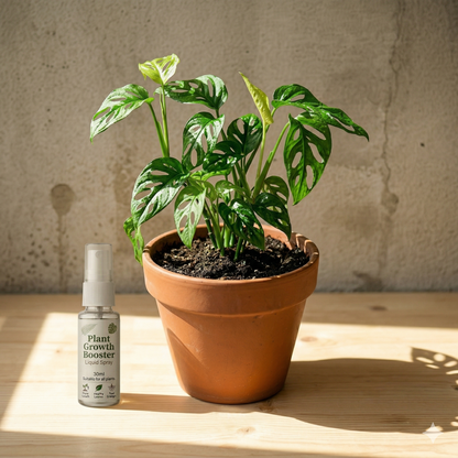 Plant Growth Booster Liquid Spray