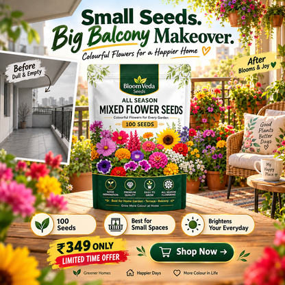 All Season Mixed Flower Seeds 100 Seeds – Best for Home Garden, Balcony & Terrace