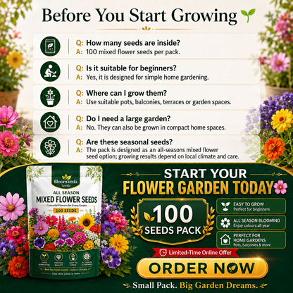 All Season Mixed Flower Seeds 100 Seeds – Best for Home Garden, Balcony & Terrace