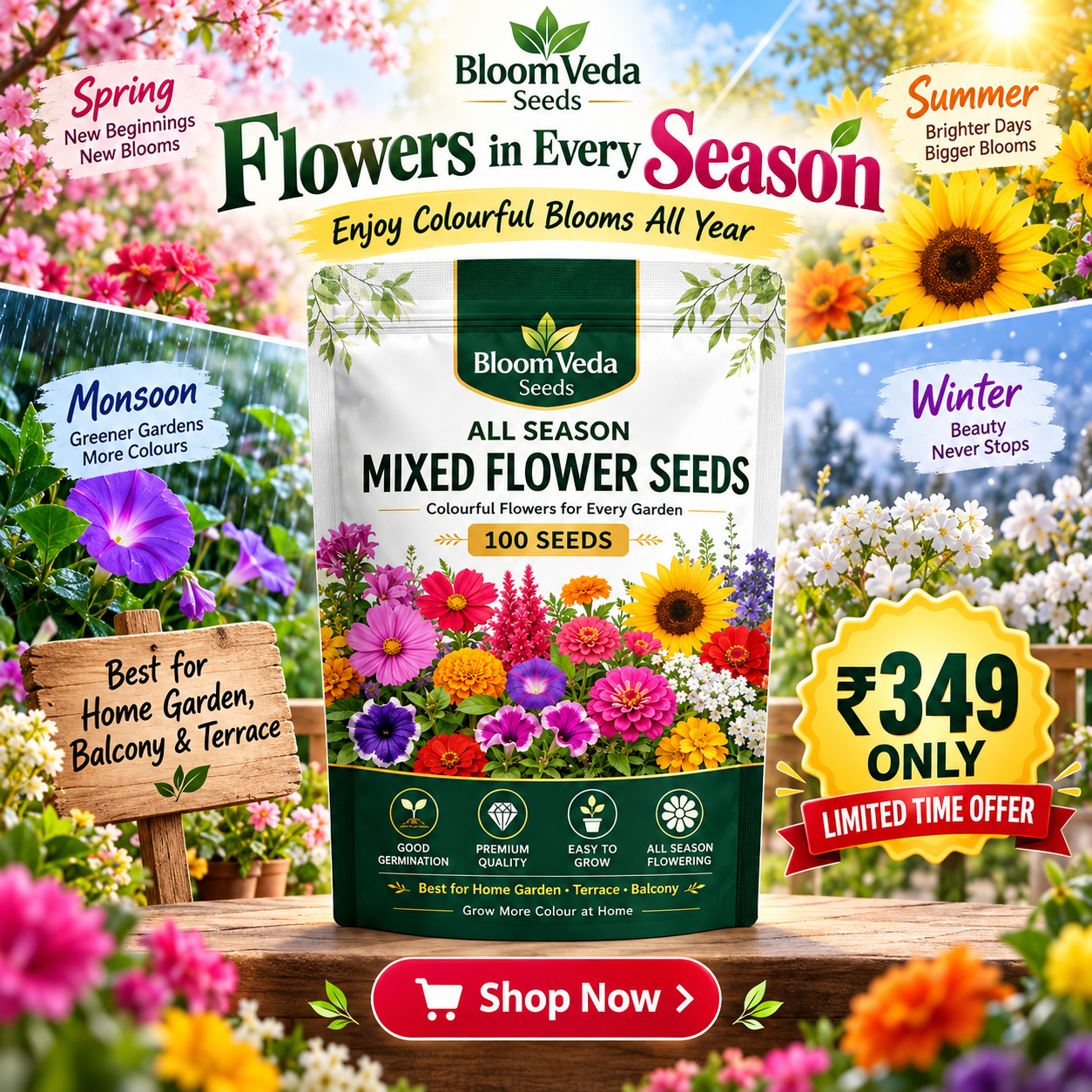 All Season Mixed Flower Seeds 100 Seeds – Best for Home Garden, Balcony & Terrace