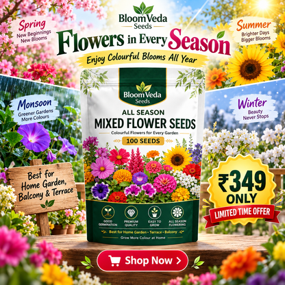 All Season Mixed Flower Seeds 100 Seeds – Best for Home Garden, Balcony & Terrace